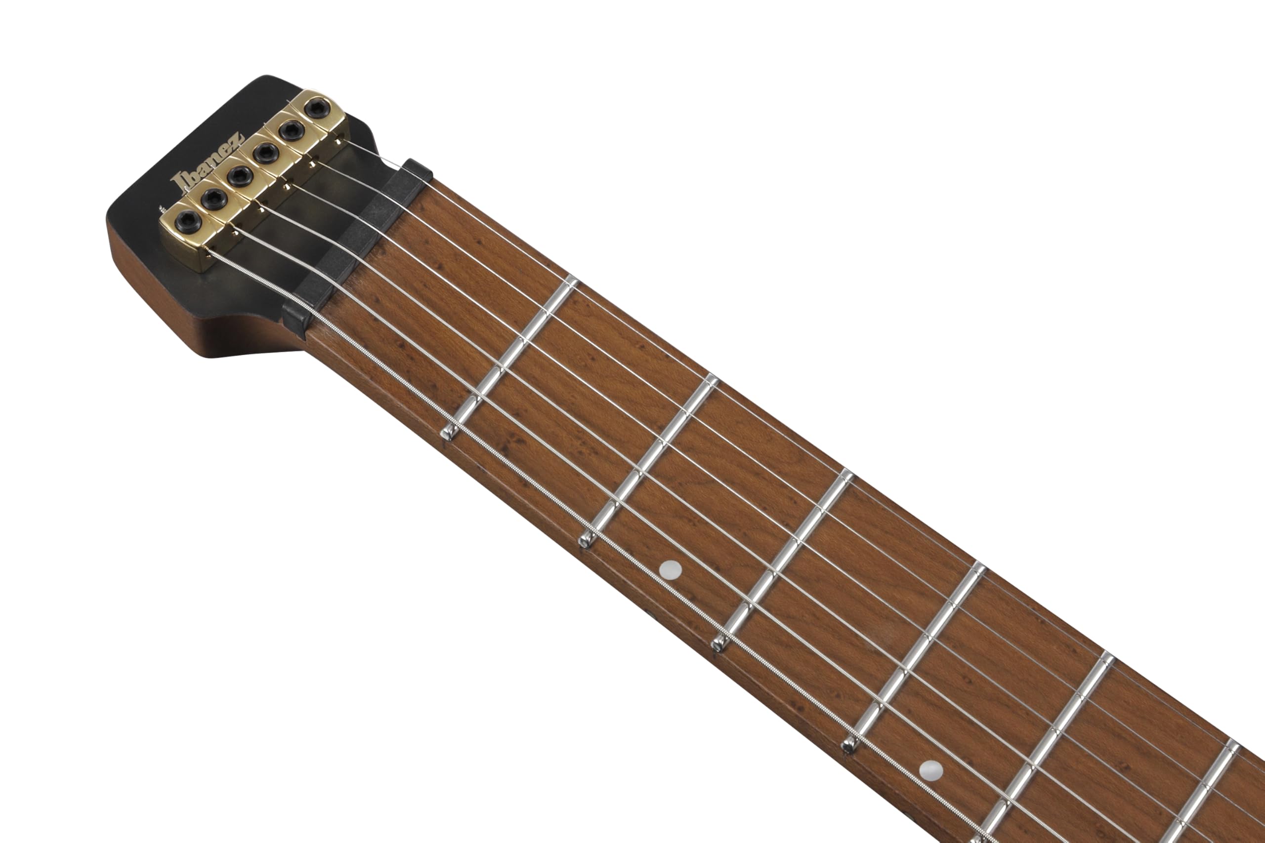 Amazon.com: Ibanez MGFM10 Manuel Gardner Fernandes Signature